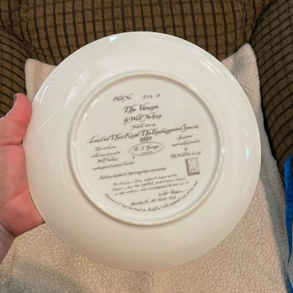 The Vicuña Will Nelson Vintage Last of Their Kind: The Endangered Species Plate - Picture 4 of 15